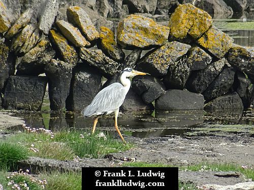 Aran Islands